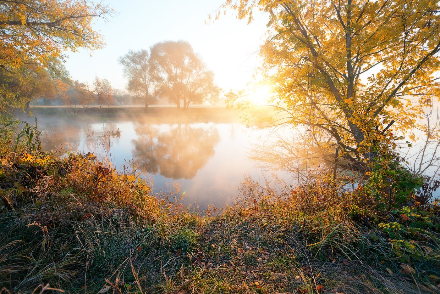 Осеннее утро картинки красивые. Осенний рассвет. Осеннее утро. Осень река солнце. Утренний осенний пейзаж.