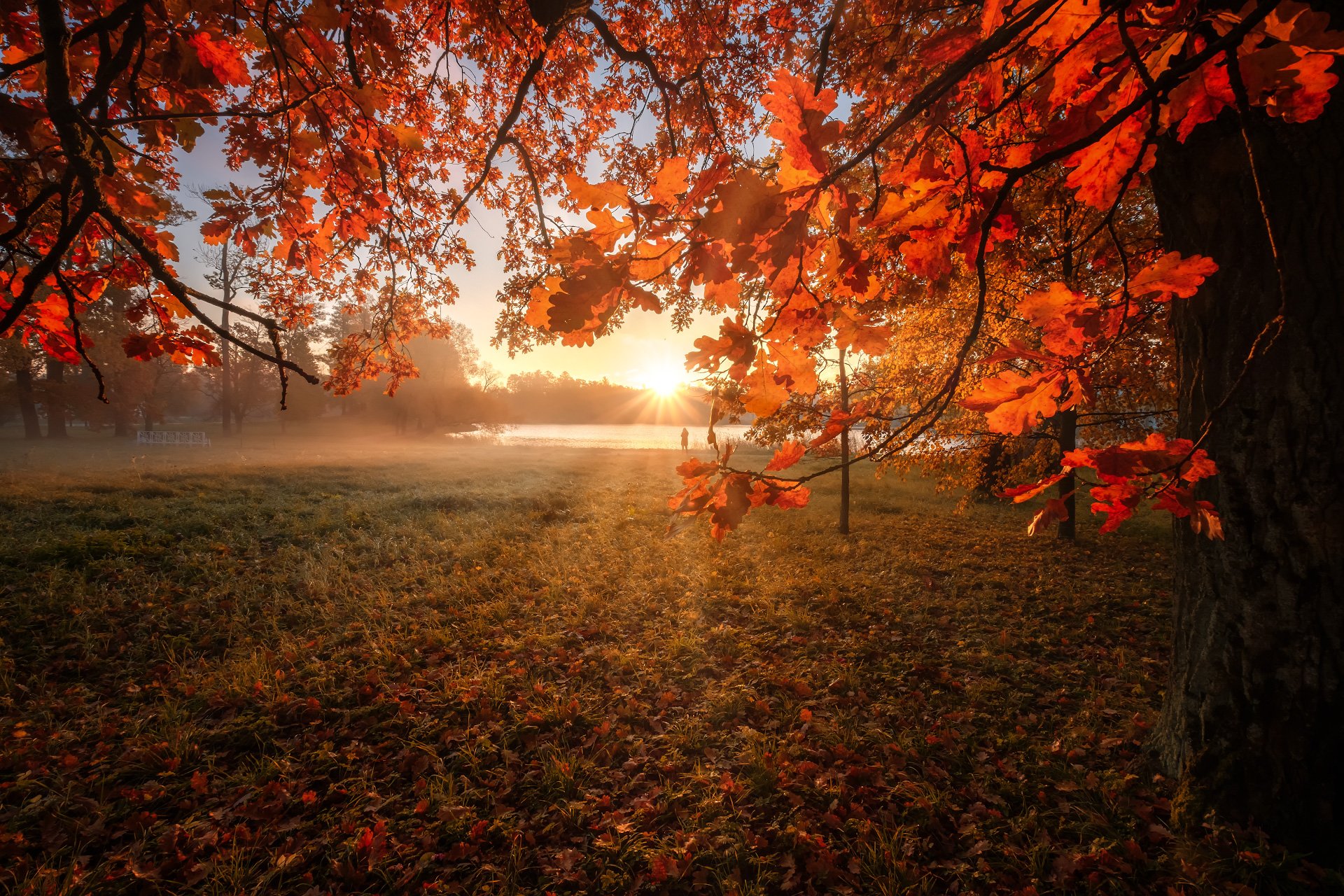 Багряный сентябрь. Осеннее солнце. Солнечная осень. Осень солнце. Осенний рассвет.