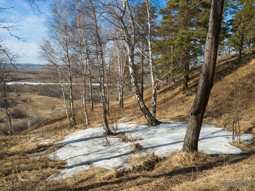 Весна в сибири фото