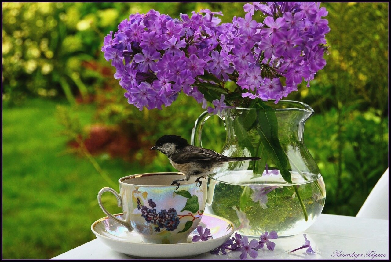 С добрым весенним утром среды картинки. Чаепитие в весеннем саду. Сирень и птицы. Чаепитие в саду с сиренью. Доброе утро природа.