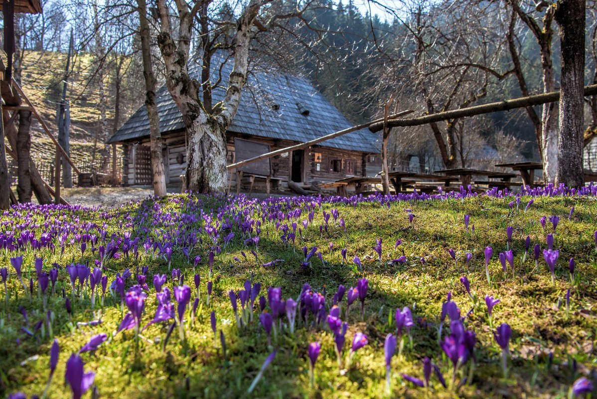 Дача ранней весной фото