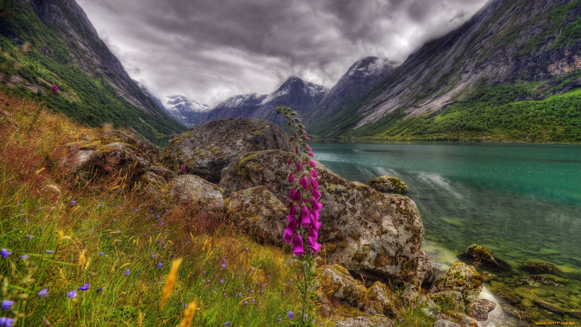 Северная Норвегия природа