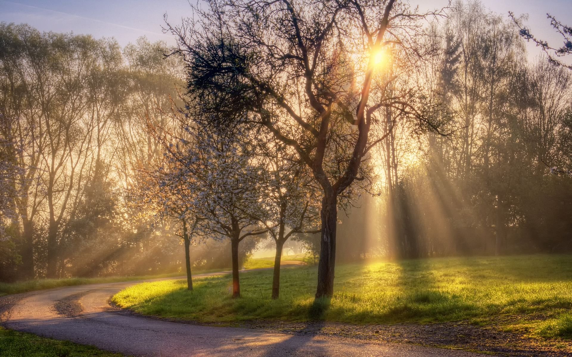 Солнечное утро Весна (58 фото) - 58 фото