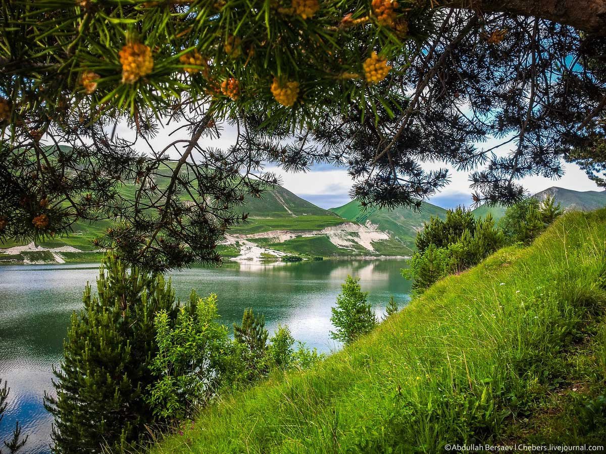 Природа в Чечне красивые места