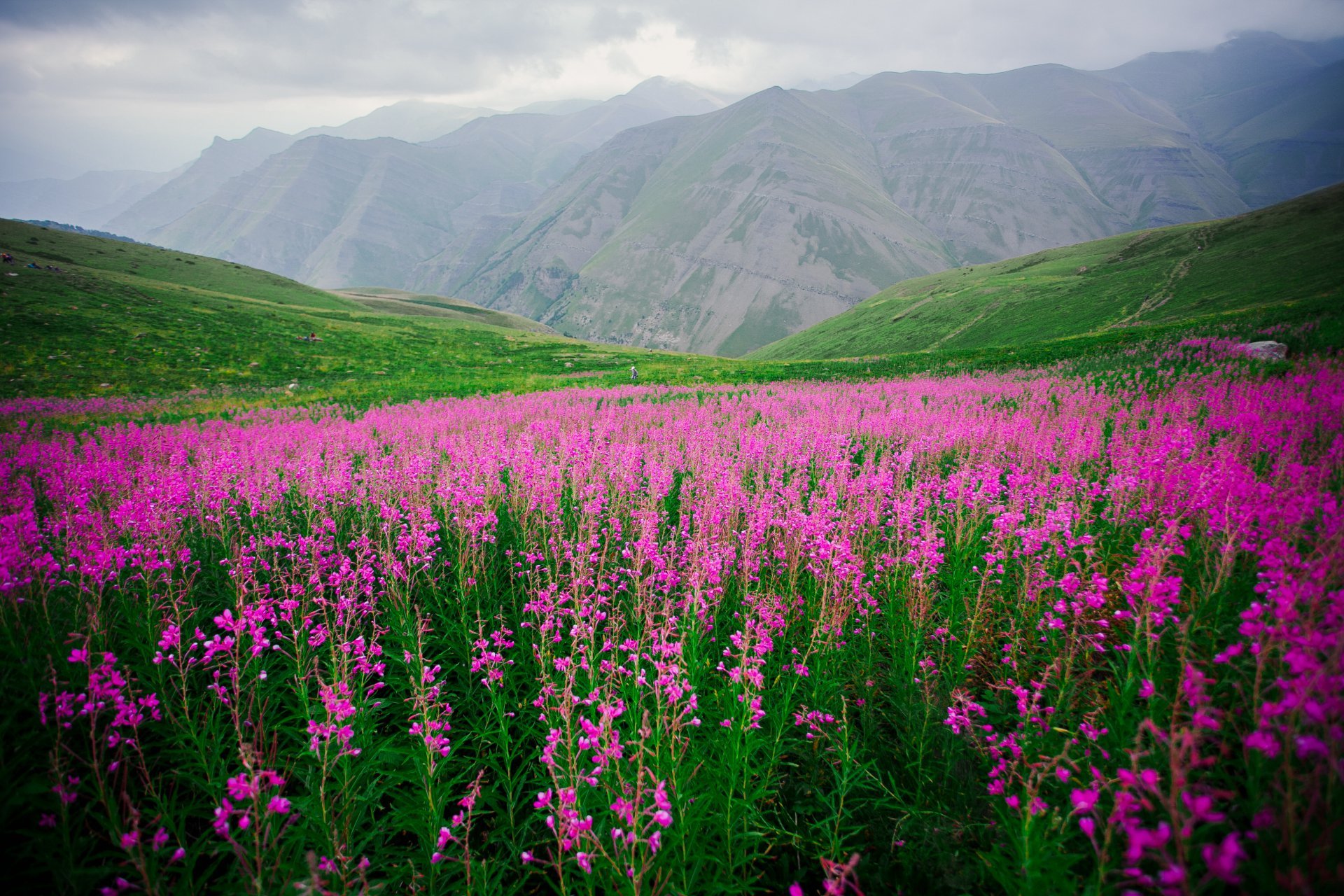 Весна в дагестане фото