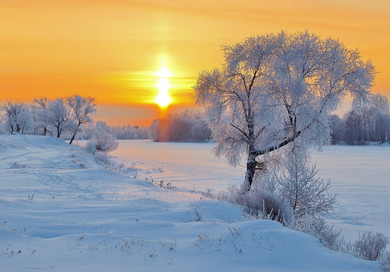 Январский день. Зимнее утро. Морозное утро. Солнечный зимний день. Зимний утренний пейзаж.