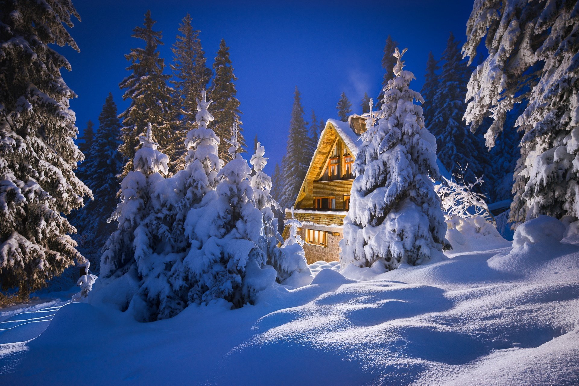 Зимняя сказка. Домик в зимнем лесу. Сказочный домик в лесу зимой. Сказочный домик в зимнем лесу. Домик в Снежном лесу.