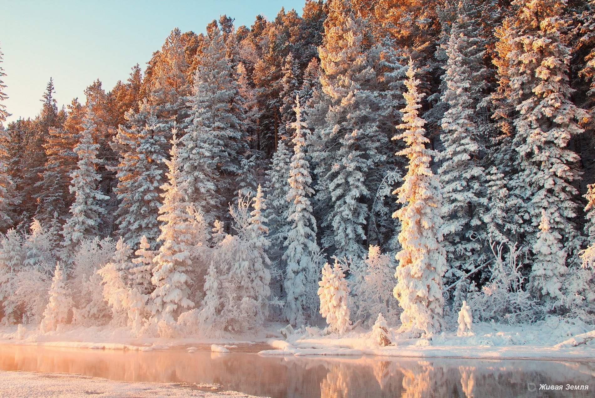 Красота зимнего леса. Зимний лес. Зимой в лесу. Сказочный зимний лес. Сказочный зимний леслес.