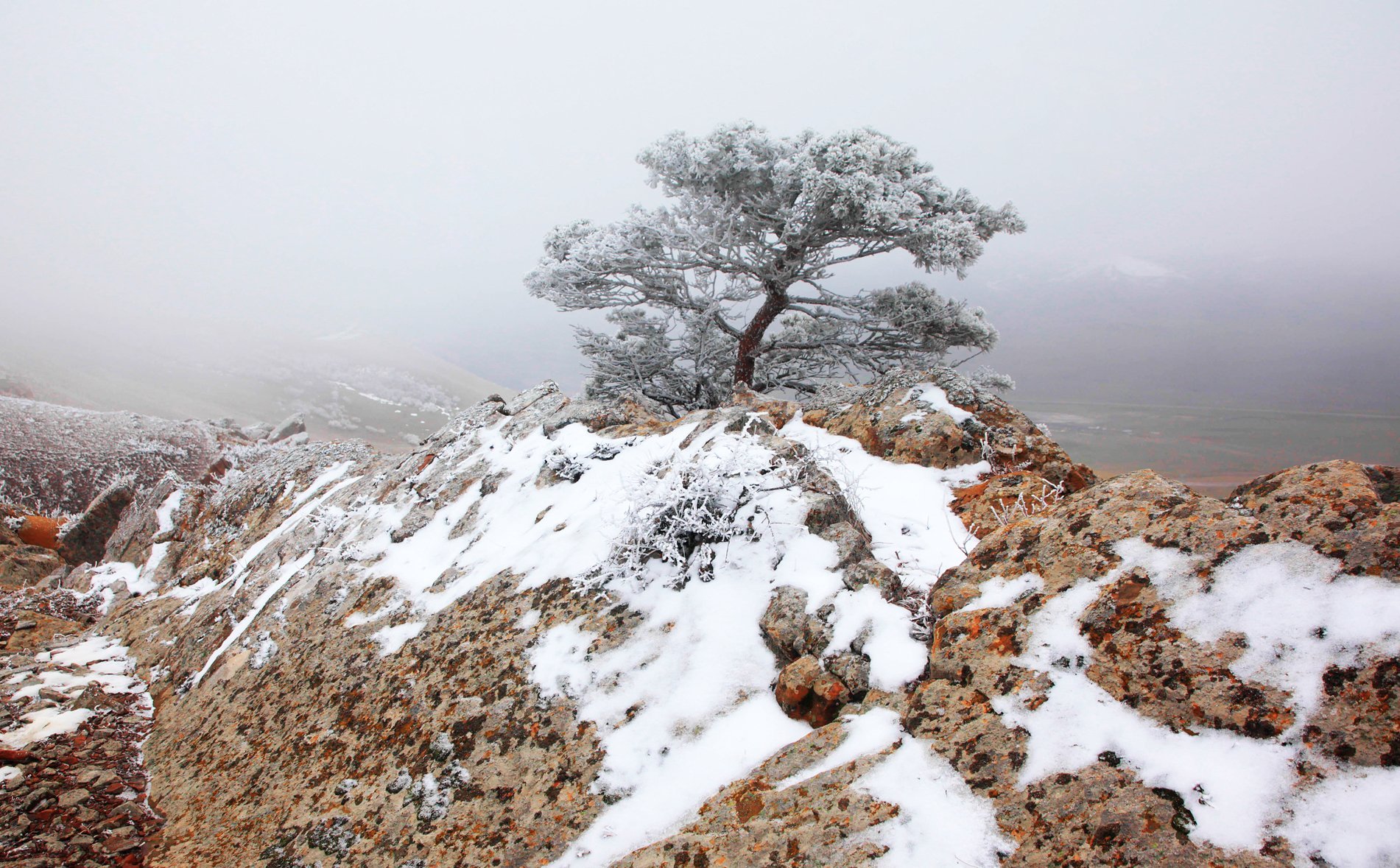 Зима в дагестане. Махачкала зимой. Махачкала горы зимой. Горы Дагестана зимой. Гуниб Дагестан зима.