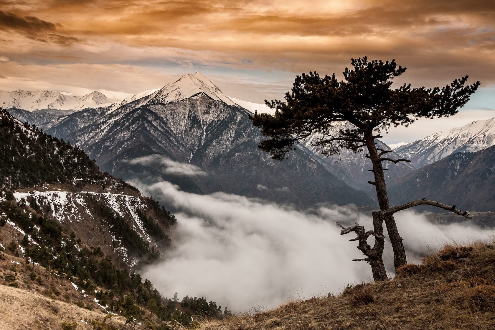 Особенности природы высокогорий. Горный Дагестан климат. Климат высокогорного Дагестана. Горы Домбай. Природа высокогорья.