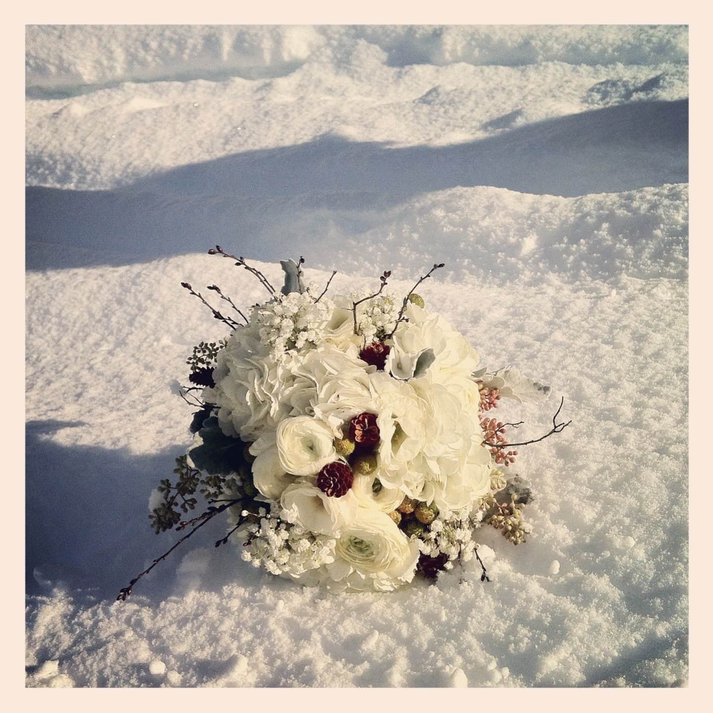 Этот цветок для зимних букетов. Зимний букет. Букет цветов на снегу. Цветы зимой. Красивые зимние цветы.
