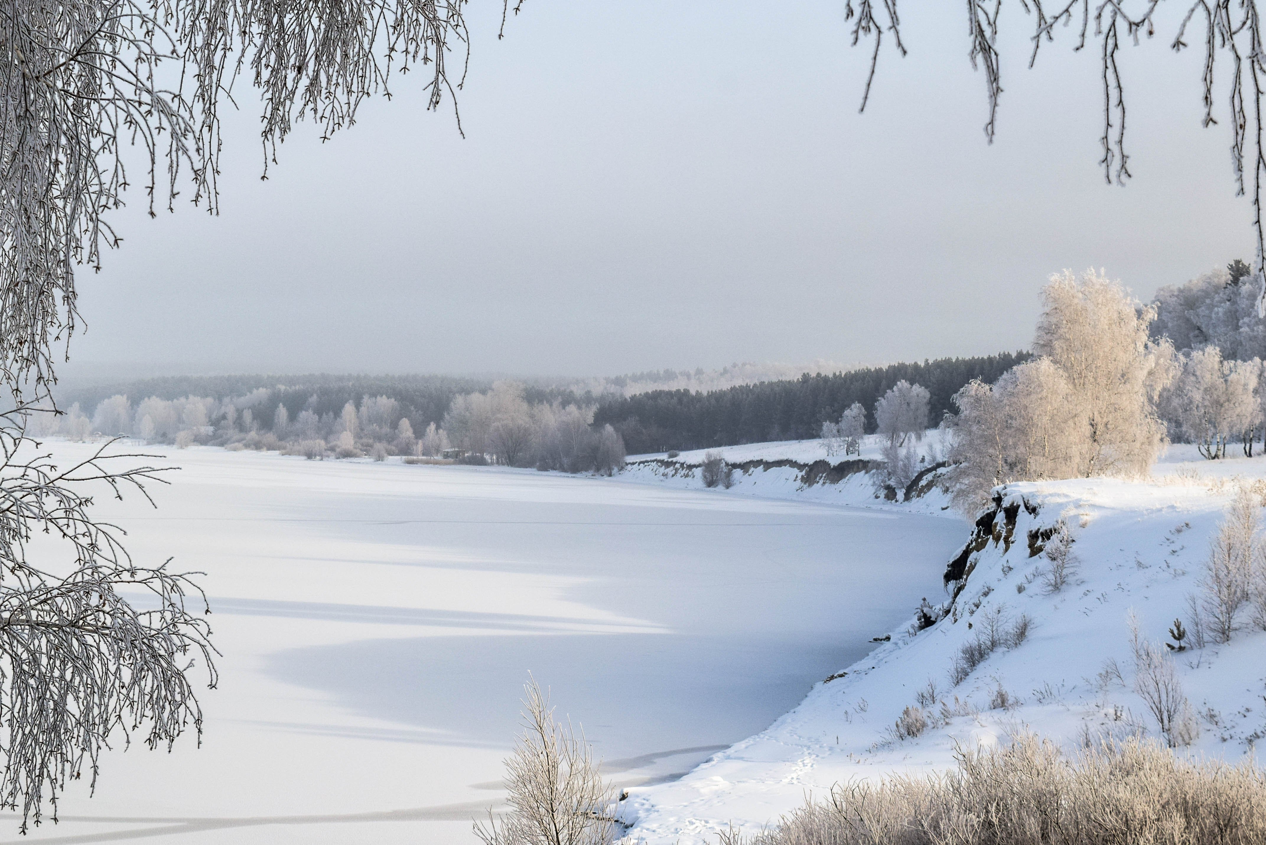 Под белым небом января. Зимушка зима. Природа Ковернино зима. Зимушка зима фото. Природа Сернура зимняя.