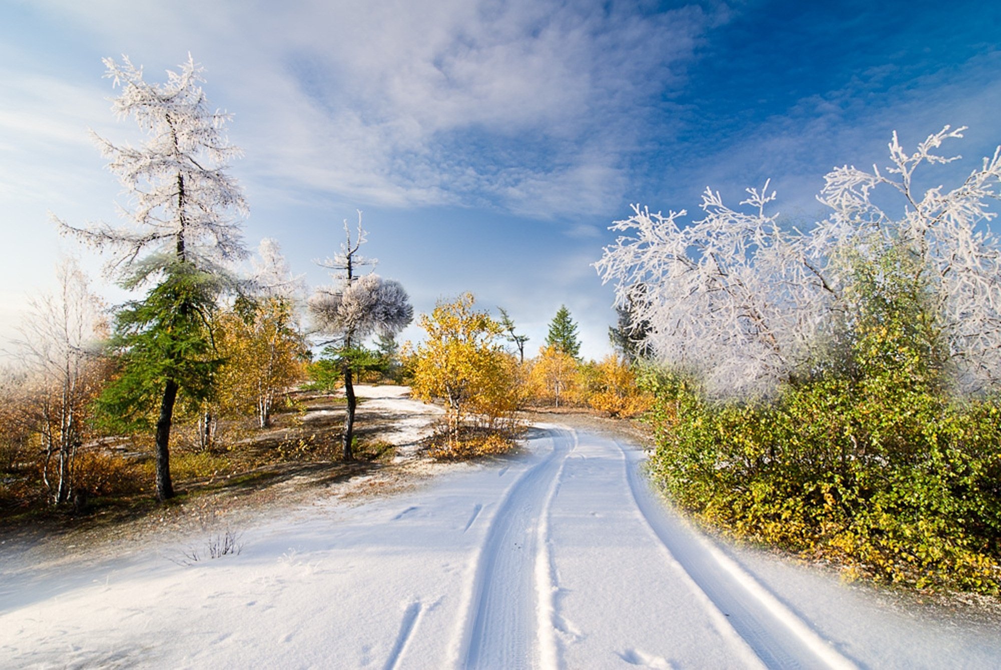 Sommer der winter