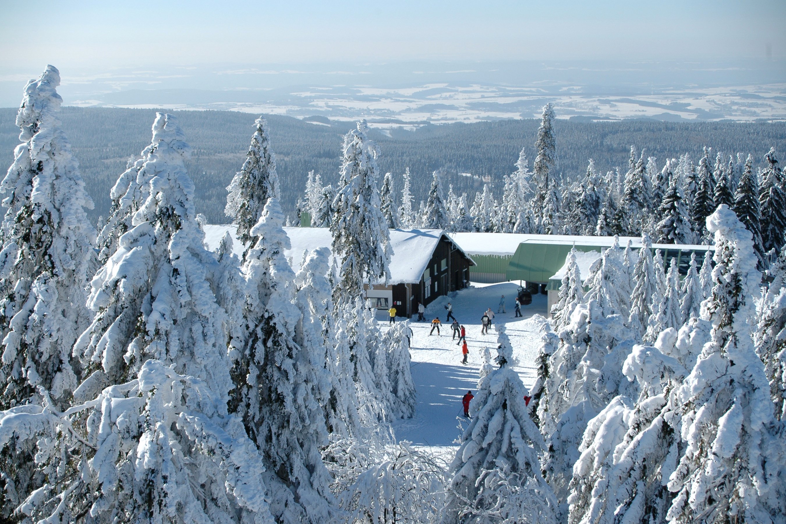 Впр на склоне зимы веселее становится февральский. Зимний курорт. Горы курорт. Зимний склон елки. Вид с горы зимой.