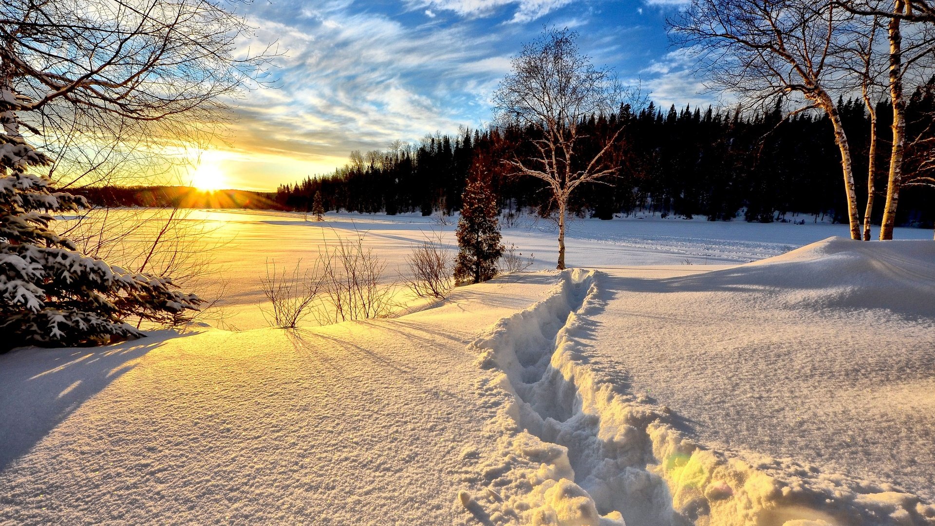 Солнечный день январь. Зимний пейзаж. Зимняя природа. Зимний рассвет. Февральский пейзаж.