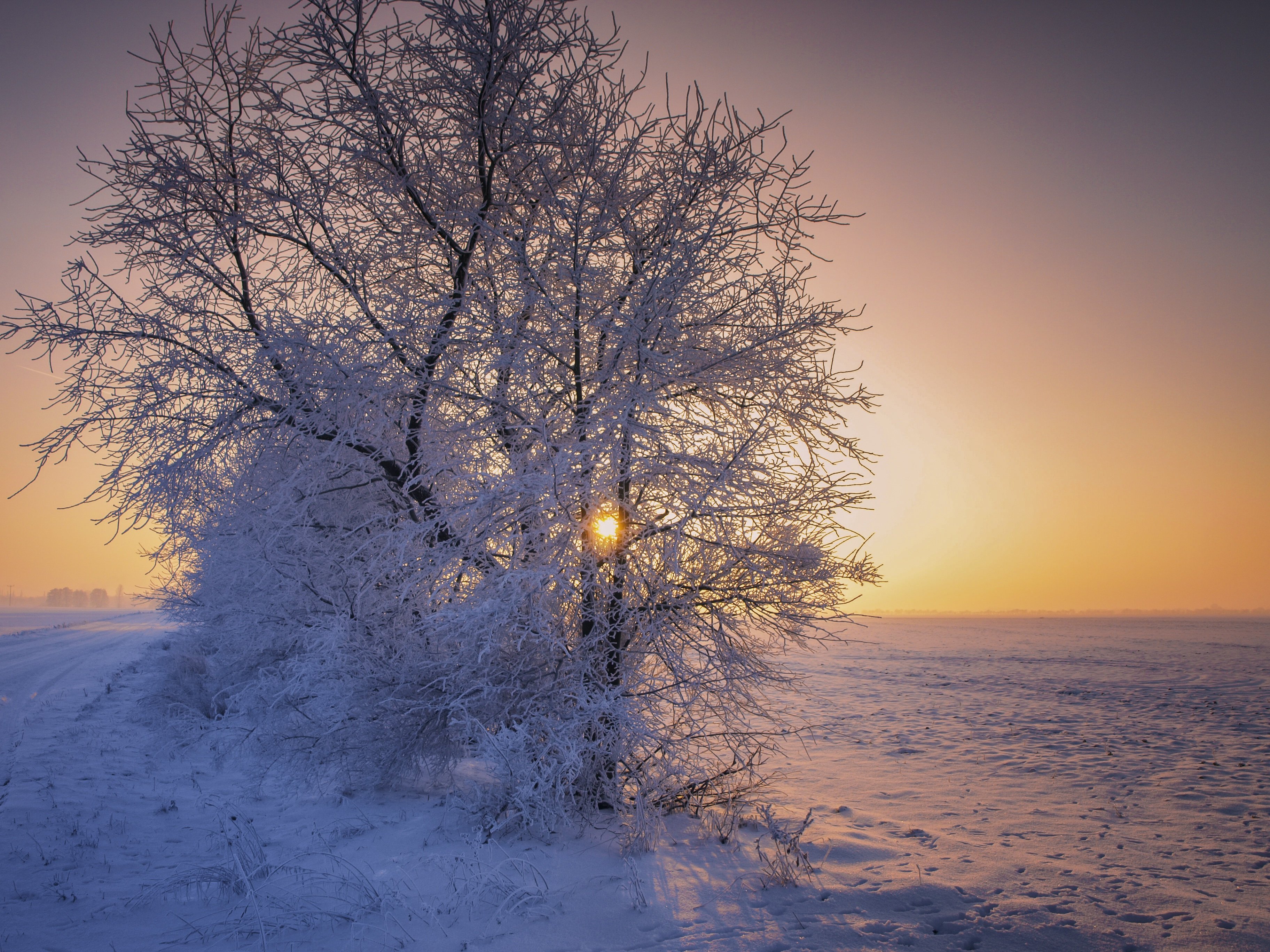 Звуки природы зимой. Солнце зимой. Зимний пейзаж. Зимнее утро. Солнечное зимнее утро.