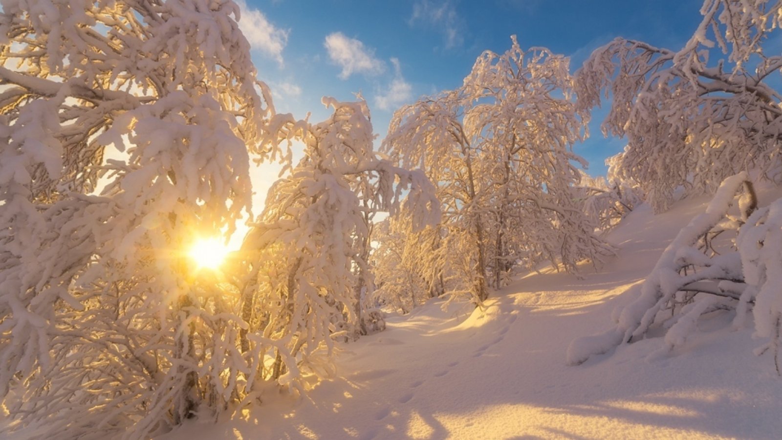 Красивое солнце зима. Зима солнце. Зимний лес солнце. Мороз и солнце. Снег и солнце.