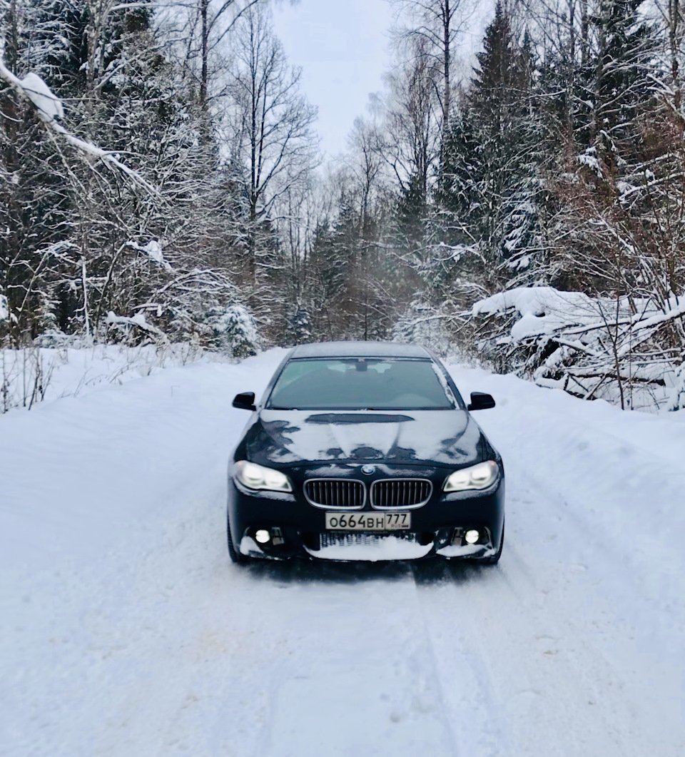 Машина в зимнем лесу: подборка картинок