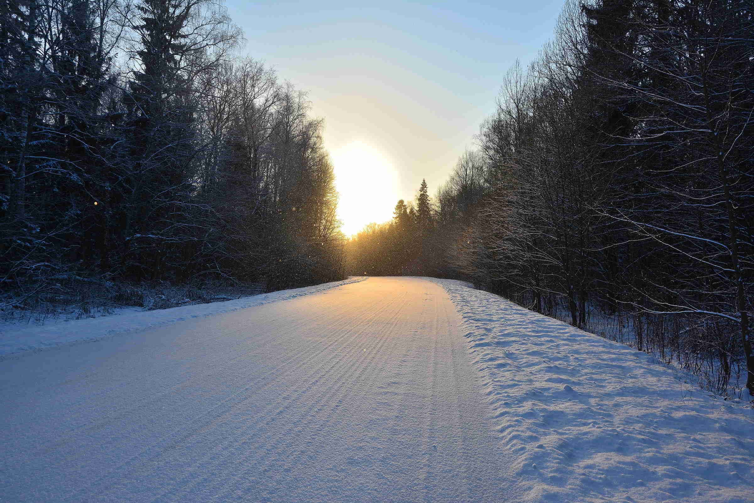 Тема зимней дороги. Зимняя дорога. Зимняя дорога в лесу. Заснеженная дорога. Заснеженная дорога в лесу.