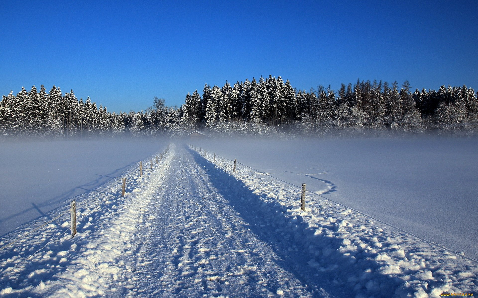 Зимней дорогой. Усинск природа зима. Зимняя дорога. Заснеженные дороги. Зимняя Снежная дорога.