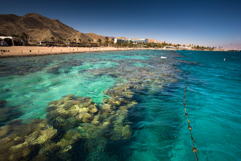 Красное море Израиль Эйлат