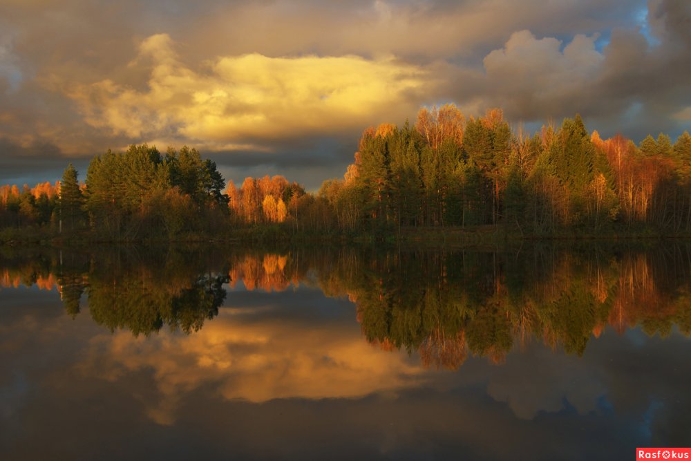 Осень река отражения