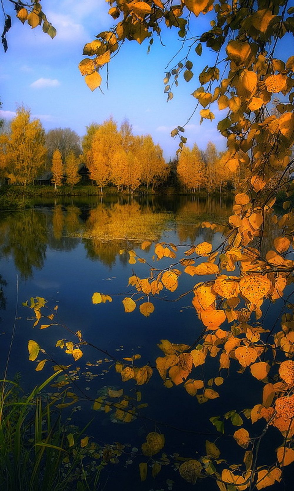 Осенняя рапсодия (91 фото) - 91 фото