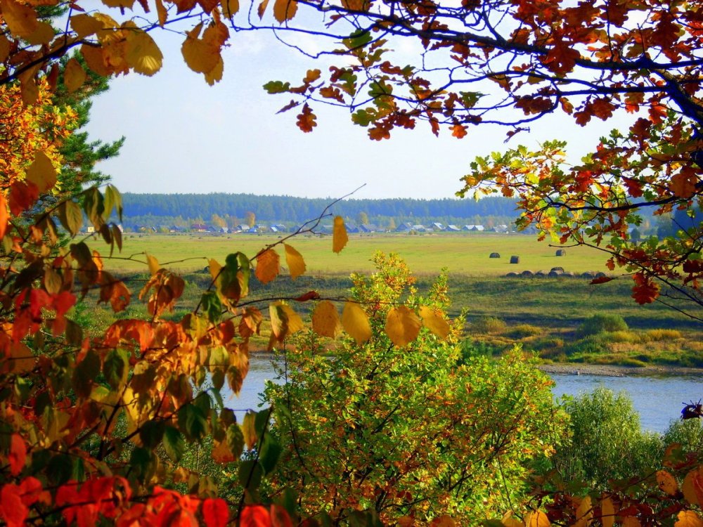 Осенняя рапсодия (91 фото) - 91 фото