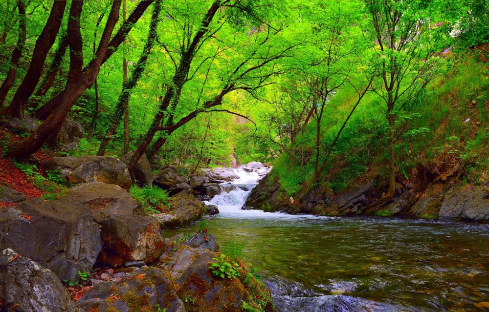 Природа с ручейком и рекой