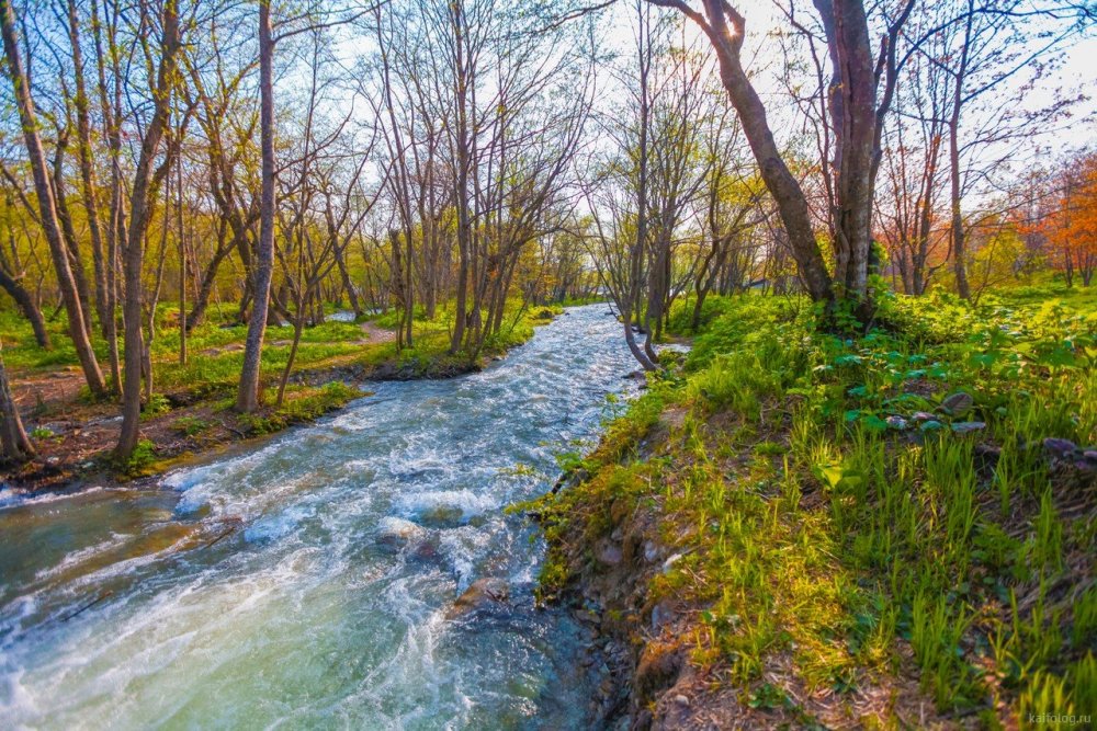 Река (ранняя Весна) Исаак