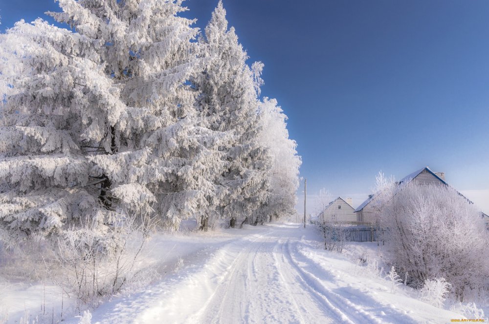 Домик в деревне зимой (147 фото)