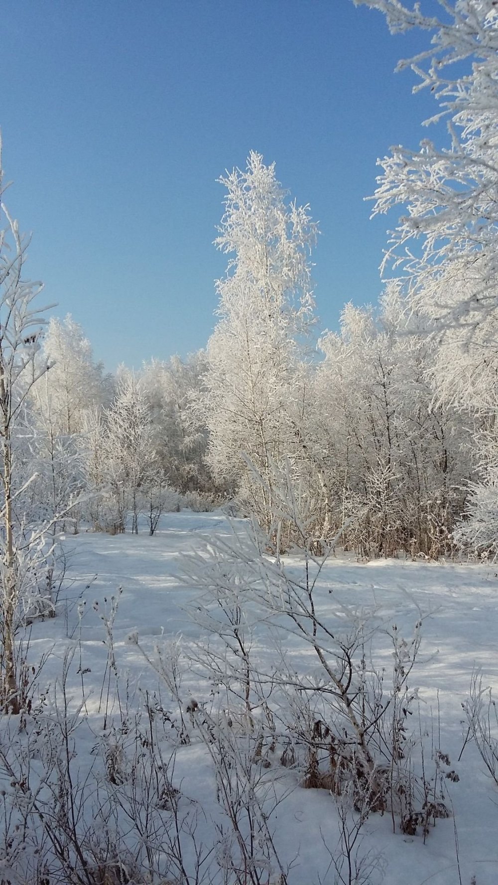 Природа Башкирии зима