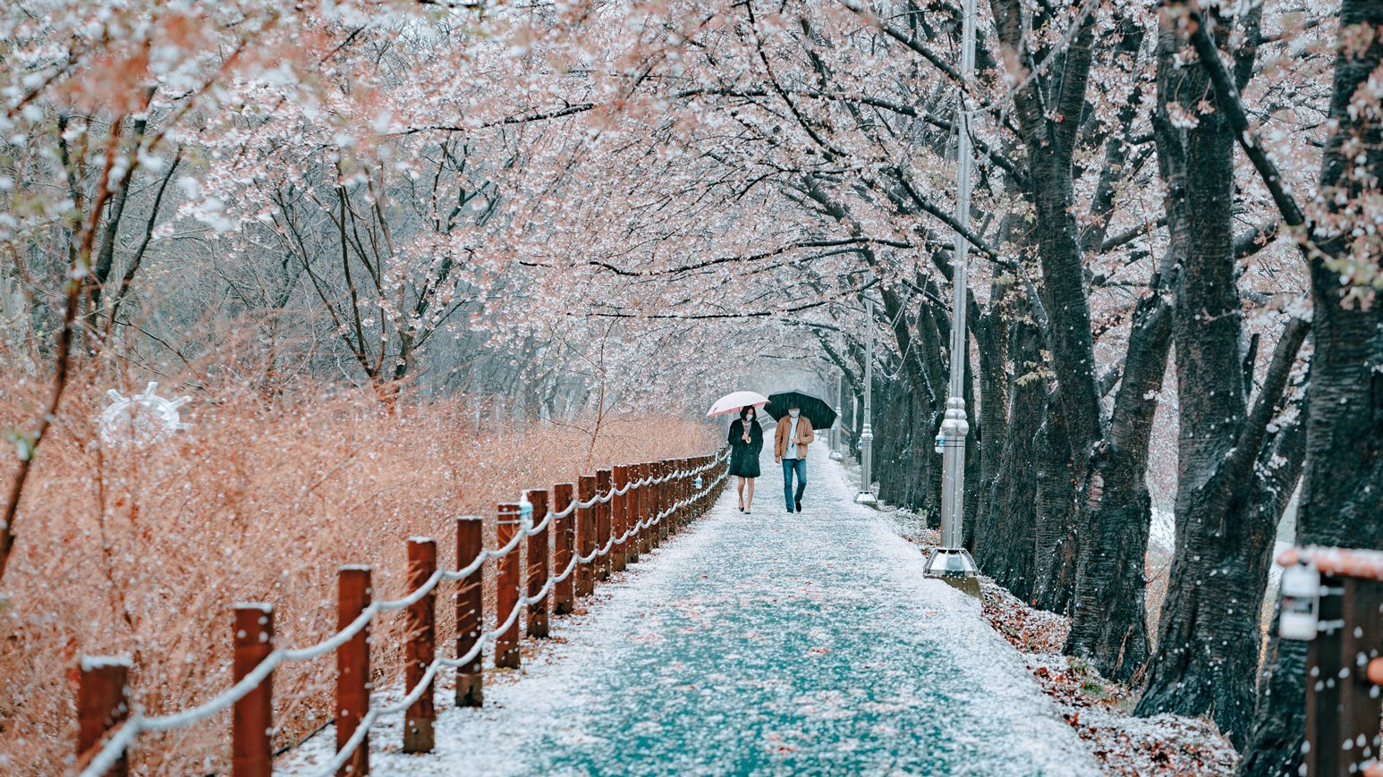 Зима в Корее Эстетика
