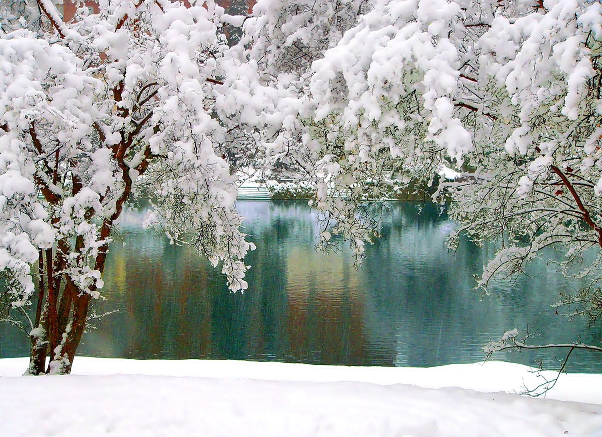Тишина падающего снега. Снег. Окно с зимним пейзажем. Красивые уголки природы зимой. Зима тишина красота.