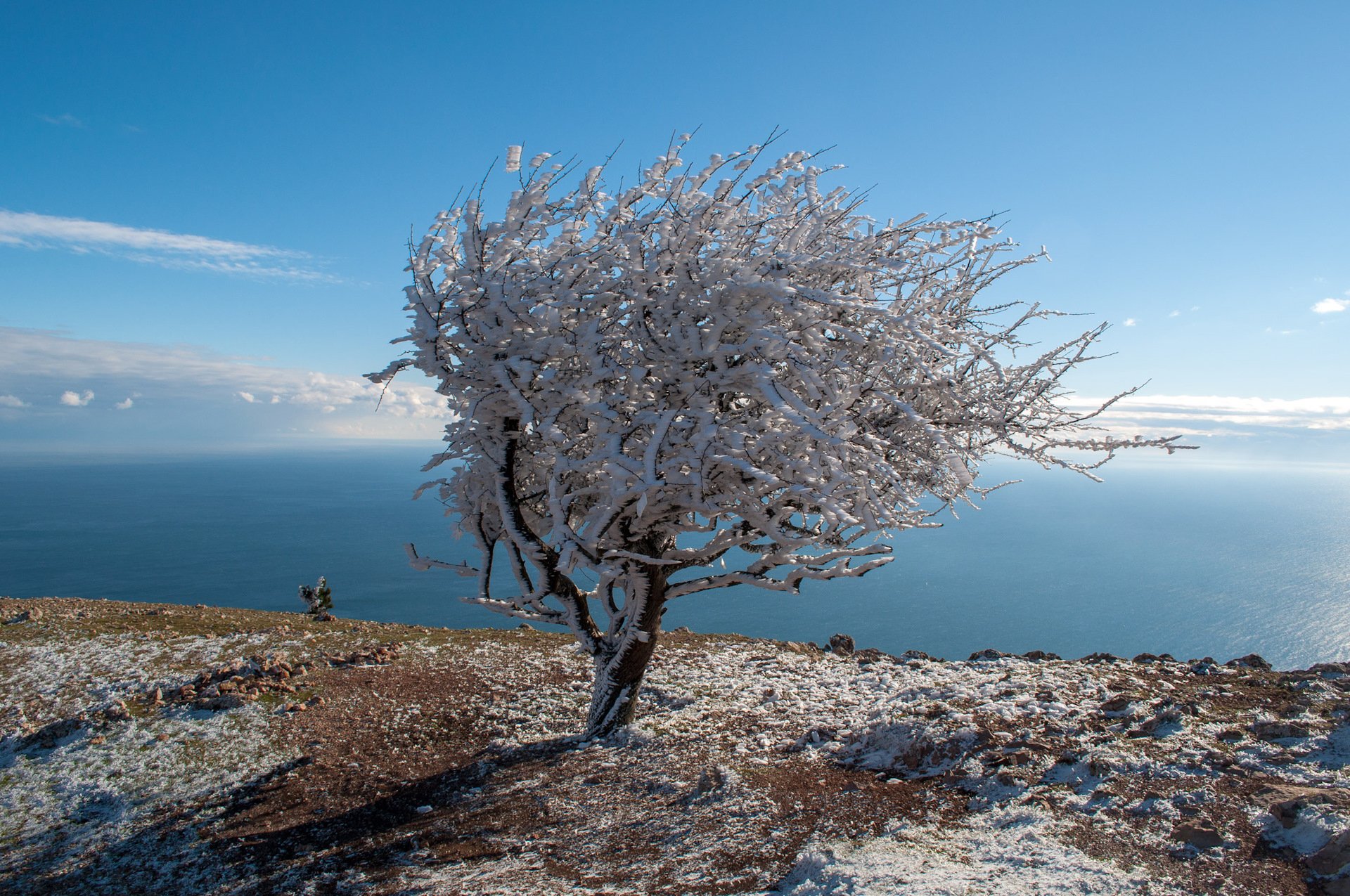 Зима в крыму фото