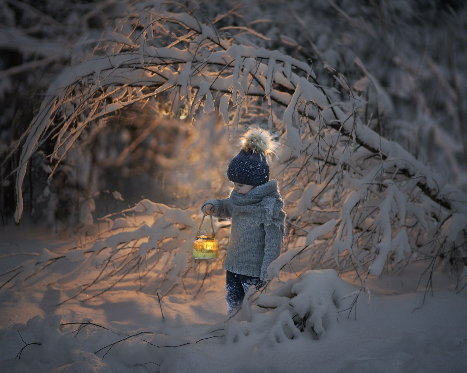 Уединение с природой зимой