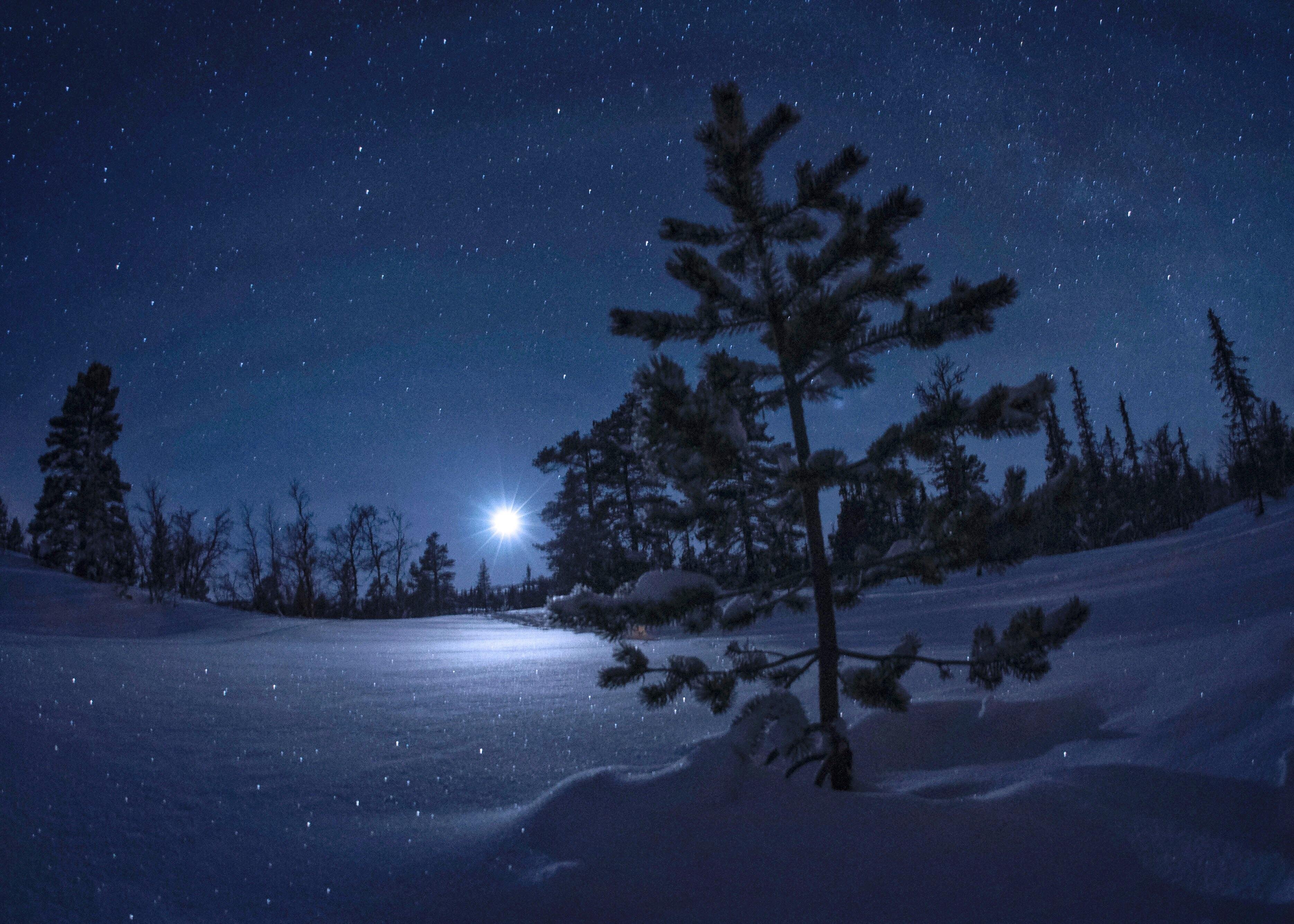 Зимняя ночь. Зимний ночной пейзаж. Зимний пейзаж ночью. Снежный пейзаж ночью.