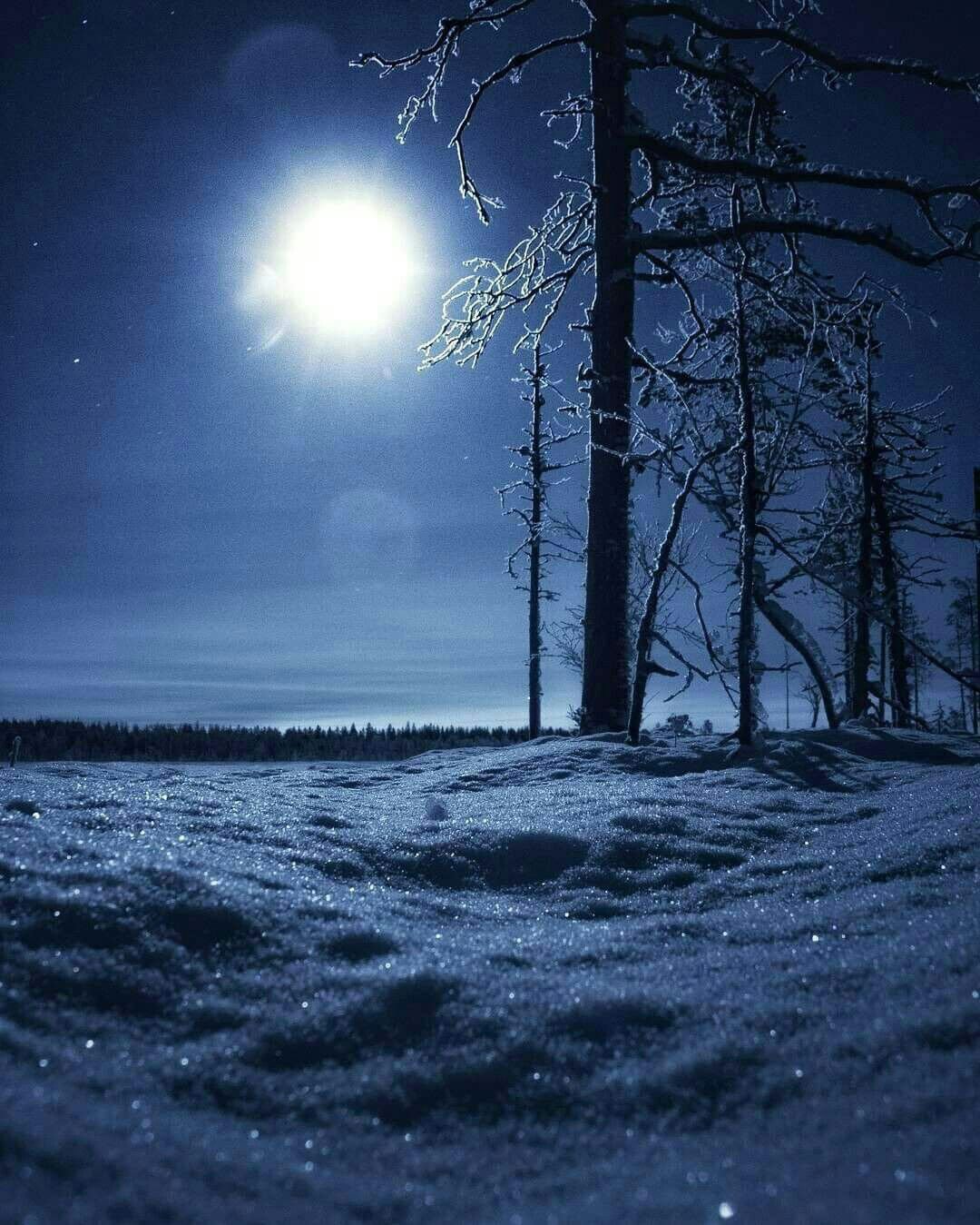 Картинки снега ночь. Ночь зимой. Снег ночью. Ночь снег Луна. Зимняя Луна.