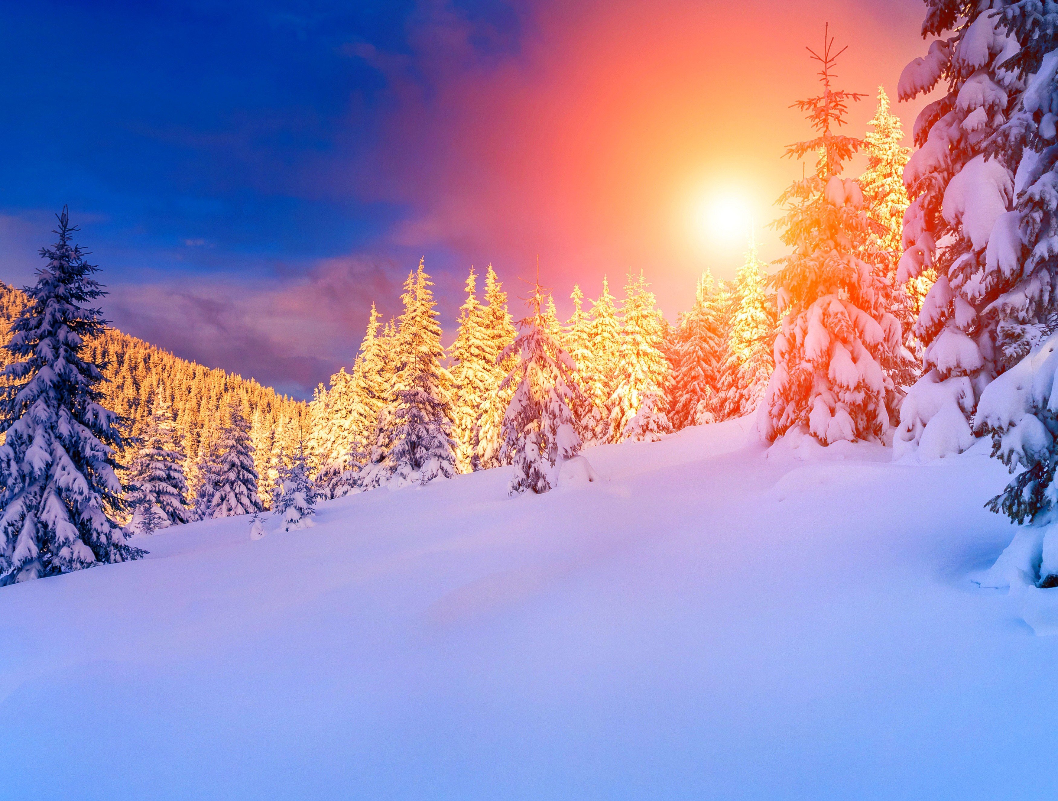 Красивое солнце зима. Зима солнце. Зимний пейзаж. Зима в лесу. Рассвет в зимнем лесу.