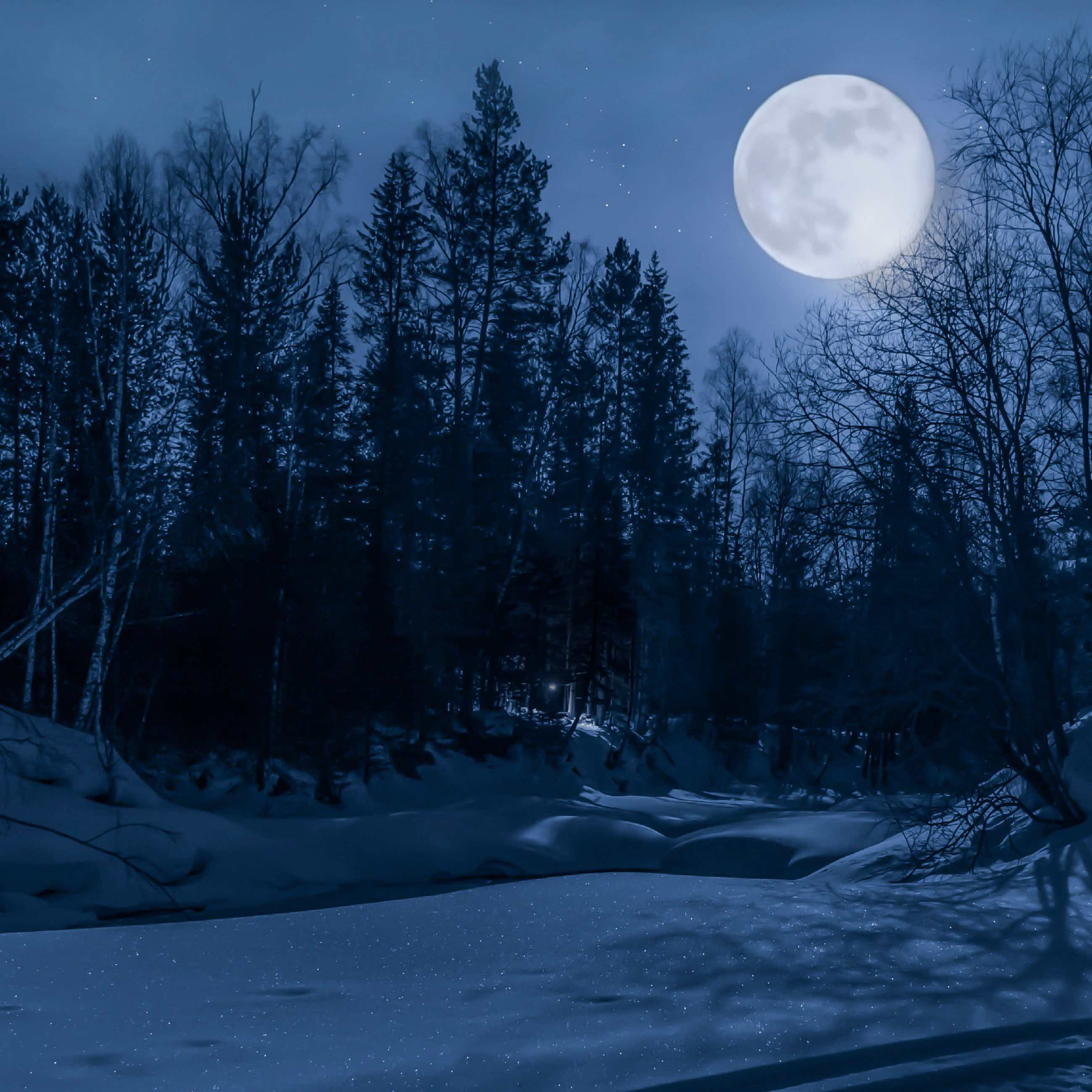 Луна зимой ночью. Луна снег. Зима Луна. Зимний ночной пейзаж. Полнолуние зима.