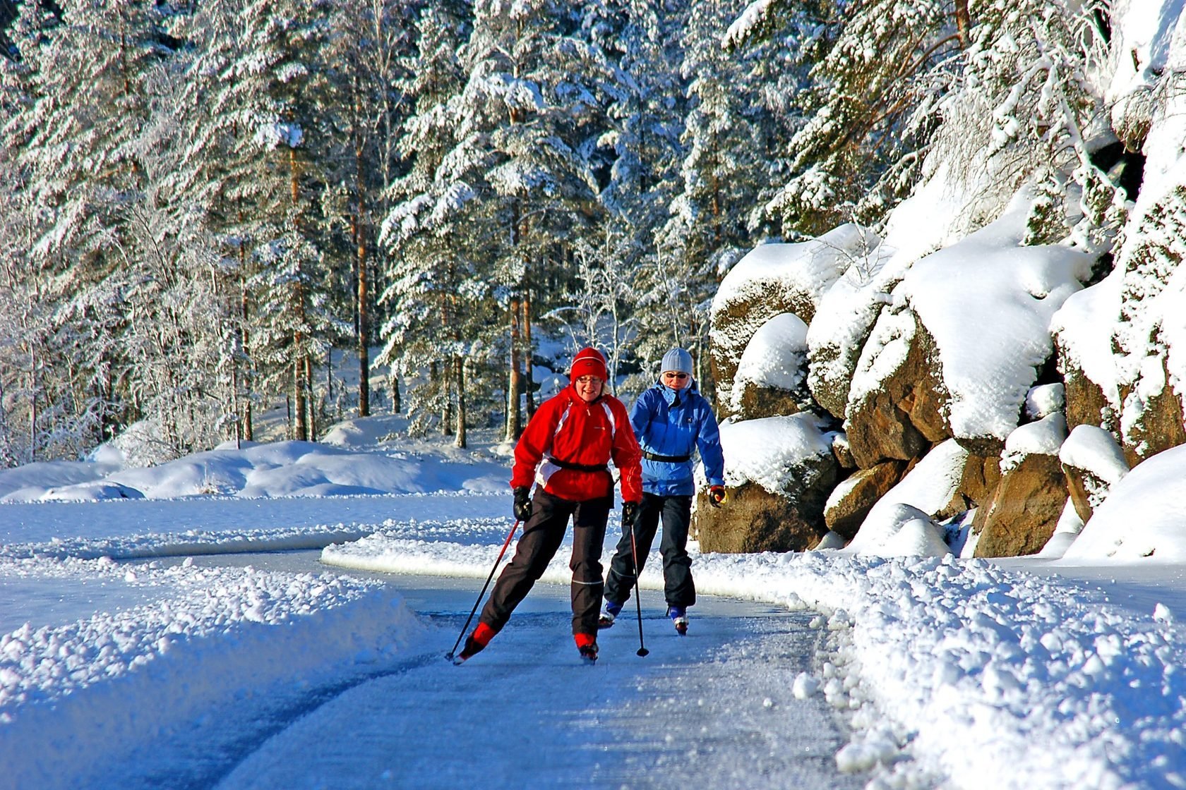 Зимний день и лыжи. Прогулка в зимнем лесу. Лыжная прогулка в лесу. Зимний поход. Лыжник в лесу.