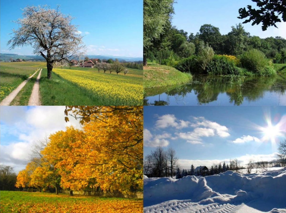 Пейзажи времени. Зима,Весна,лето,осень. Времена года фото. Пейзаж по временам года. Пейзаж в Разное время года.