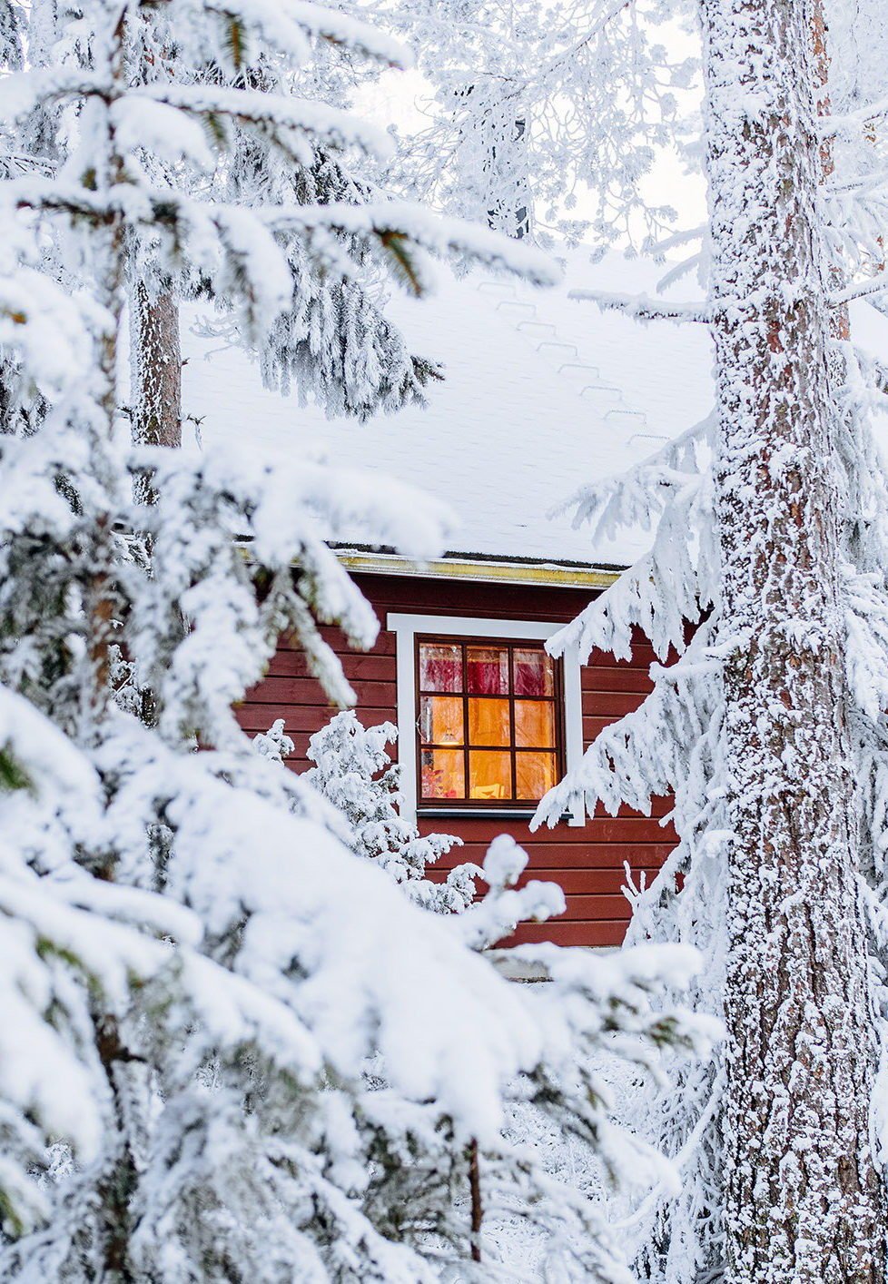 Уютный домик в лесу зимой