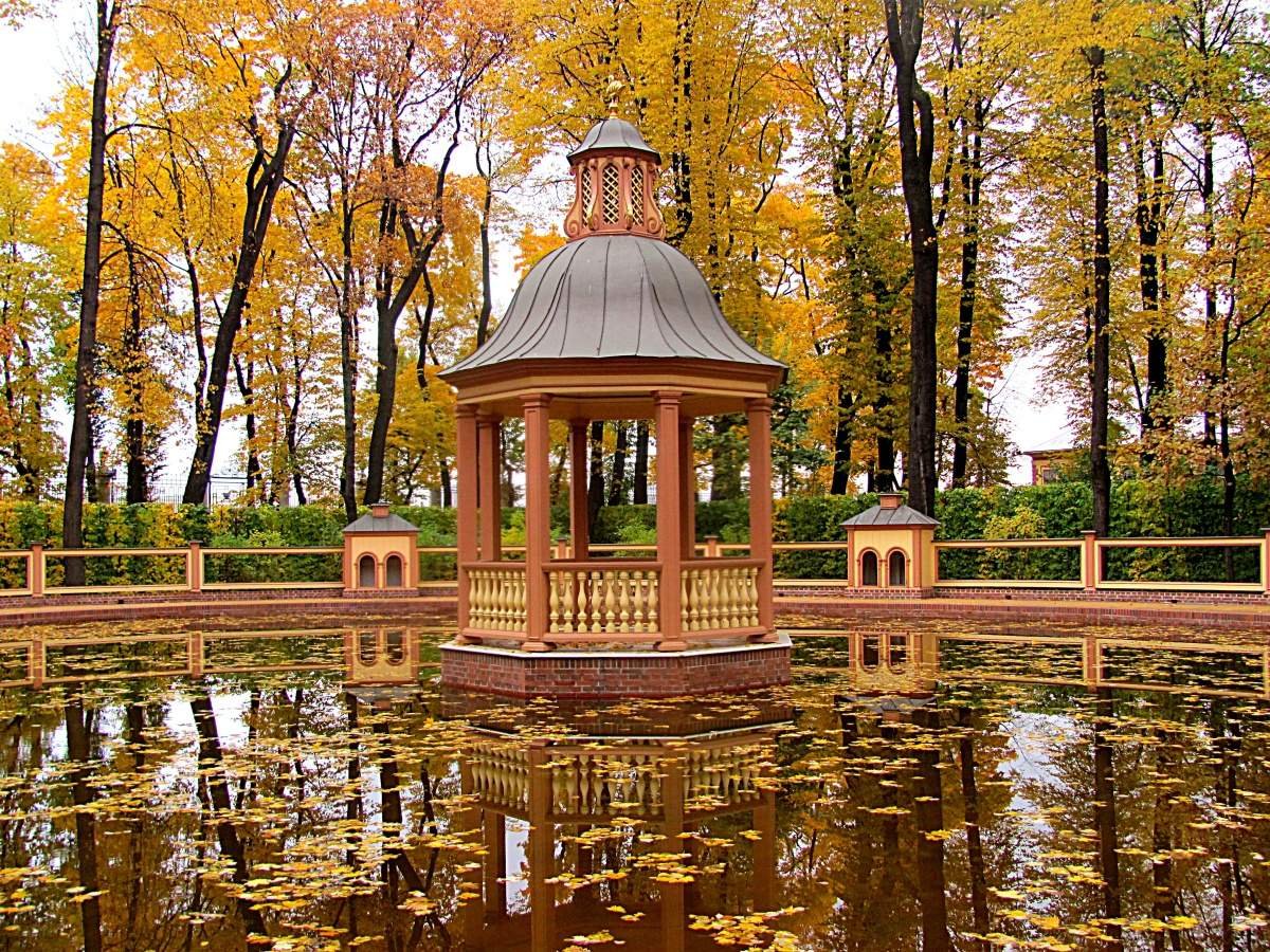 Летний сад осенью. Менажерийный пруд в летнем саду. Летний сад менажилецный пруд. Летний сад в Санкт-Петербурге Менажерийный пруд. Летний сад в Санкт-Петербурге осенью.