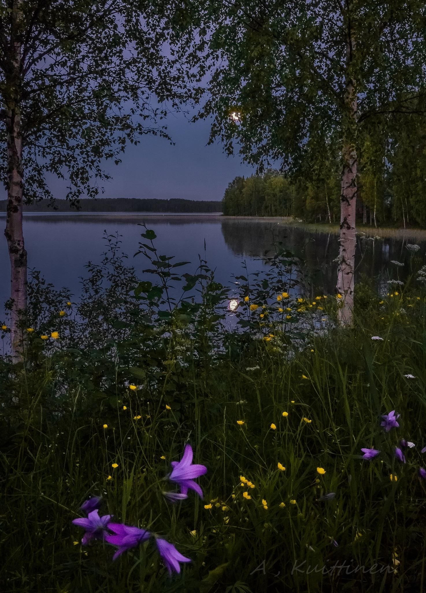 Летний вечер