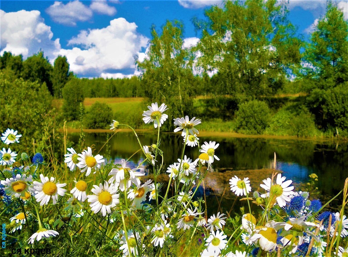 пейзаж день