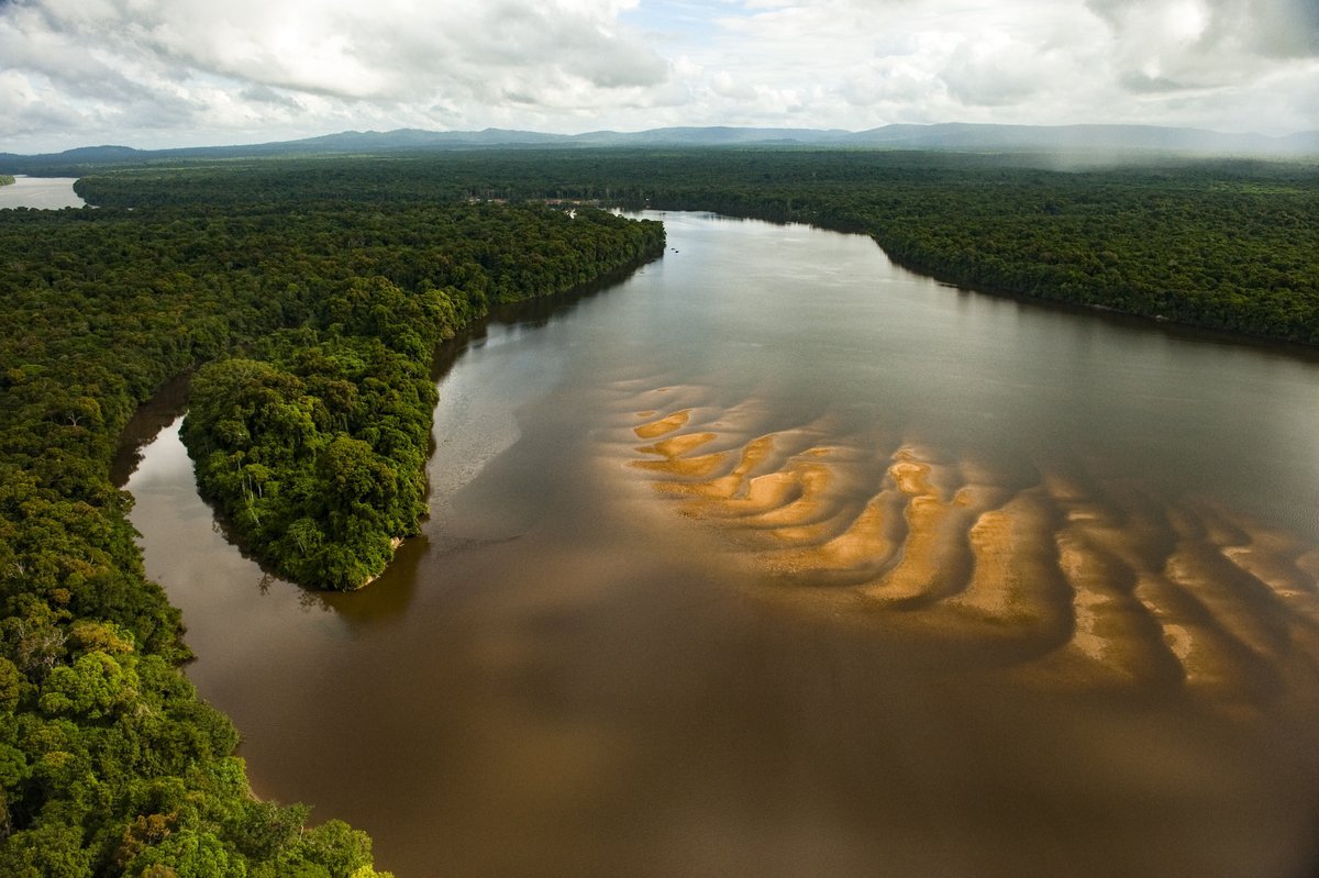 Амазонка и Ориноко