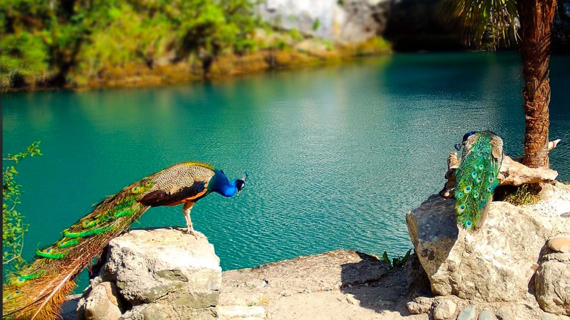 Голубое озеро Абхазия профессиональные фото