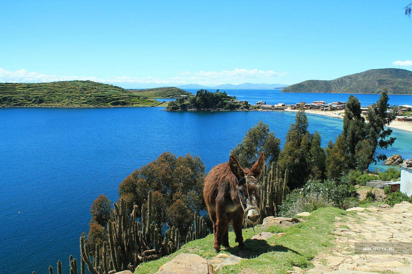Озеро титикака в южной америке. Боливия озеро Титикака. Южная Америка озеро Титикака. Озеро Титикака Перу. Перу природа Титикака.