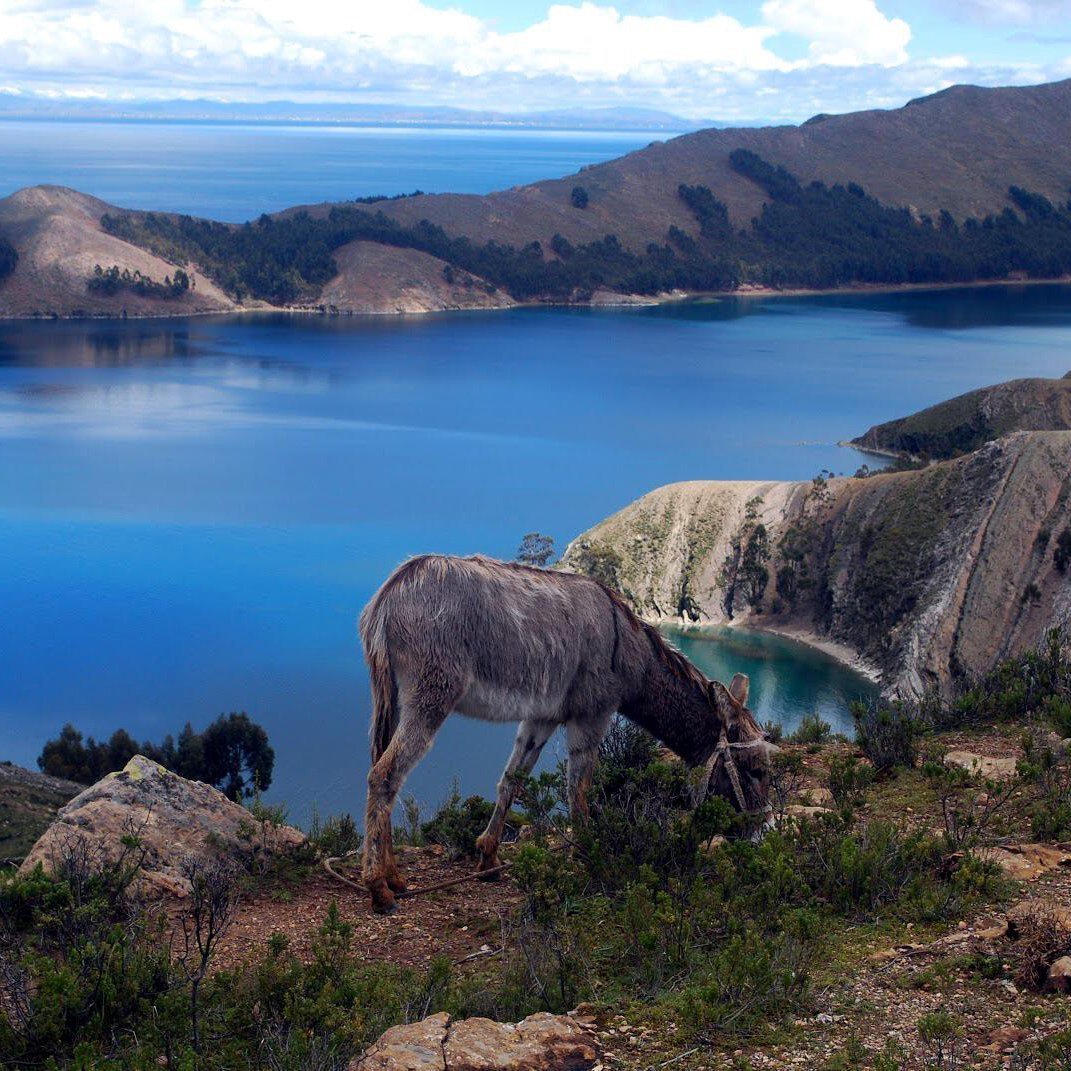 Высочайшее судоходное озеро. Боливия озеро Титикака. Озеро Титикака Перу. Южная Америка озеро Титикака. Высокогорное озеро Титикака.